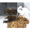 Image 6 : Outdoor Camping Supplies