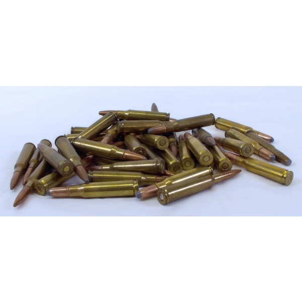 40 Rounds Mixed  Ammunition