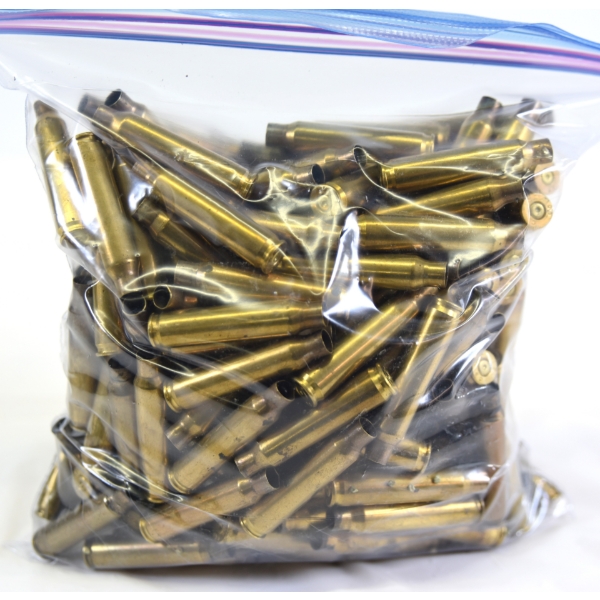200 Pieces .223cal Shot Brass