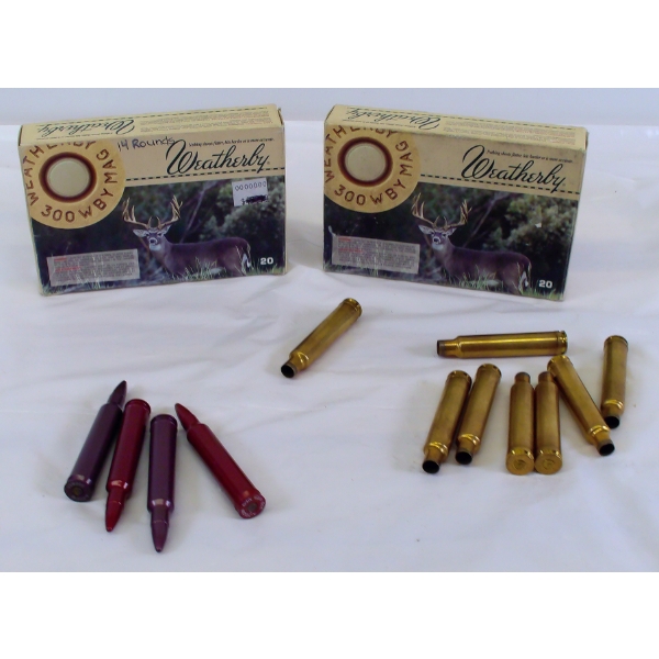 14 Rounds Weatherby 300 Mag 180gr Ammunition & Shot Brass