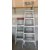 Image 3 : 2 Ladders 