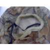Image 2 : Box Lot Hunting Items