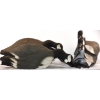 Image 2 : 12 Goose Decoys