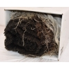Image 4 : Roll of Bar Ties Rebar 8"
