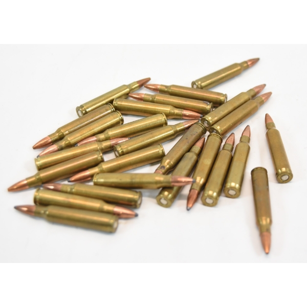 25 Rounds Assorted Brands .223 Rem Caliber Ammunition