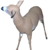 Image 3 : Deer Decoy