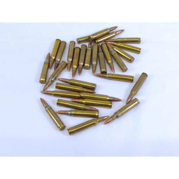 30 Rounds 5.56x45mm Nato Ammunition 
