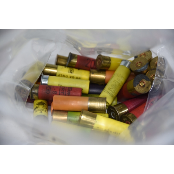 21 Rounds Mixed Shot Shell Ammunition 
