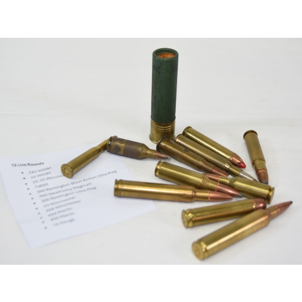 12 Rounds Mixed Ammunition