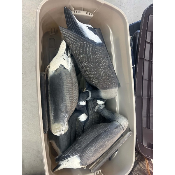 6 Geese Decoys