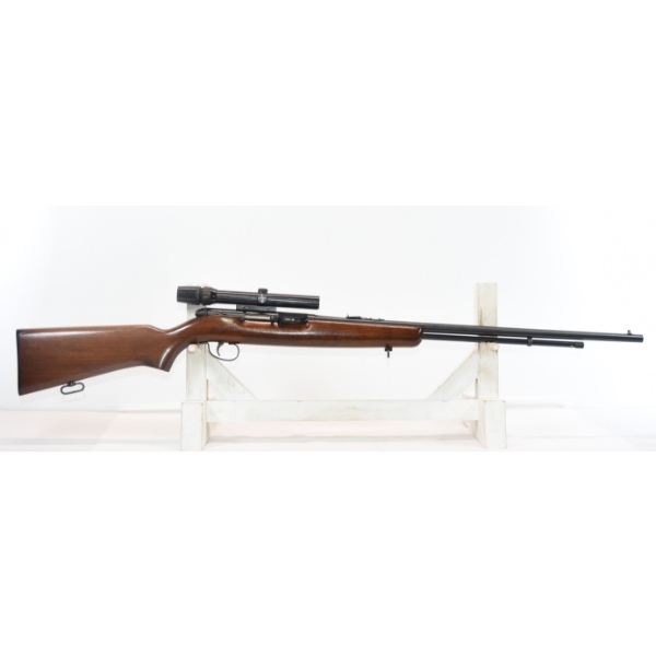 Remington 550-1 Semi Automatic With Bushnell Scope 