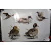 Image 12 : Box Lot Prints & Calendar