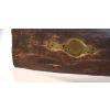 Image 8 : Unknown Make Single Shot .70 Percussion Parts Rifle
