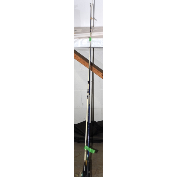 Fishing Rod & Lines 