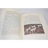 Image 3 : Wing & Shot Gun Dog Training Book By Robert G. Wehle