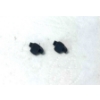 Image 1 : 2 Luger PO08 Front Sights 