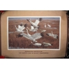 Image 2 : 3 1980s Remington Ltd Edition Frameable Prints