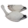Image 3 : Box Lot Snow Goose Decoys