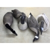 Image 1 : 5 Large Goose Decoys 