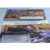 Image 3 : 4- Remington Calendars 1975, 1988, 1998 , 2017