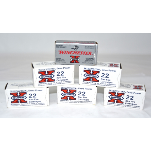 250 Rounds Winchester .22 LR & 41 Rounds Winchester .22 Short Ammunition