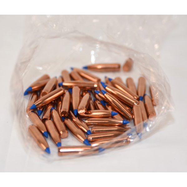 50 Pieces Nosler 25 Cal 115gr Bullets 