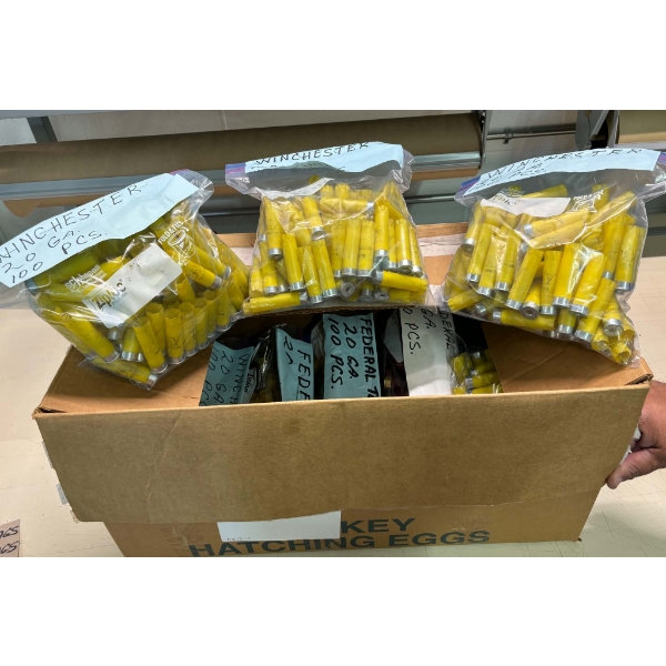 7kg Box of Assorted Brand 20 Gauge Hulls 