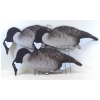 Image 1 : 60 Dive Bomb Canadian Goose Silhouette's With Case