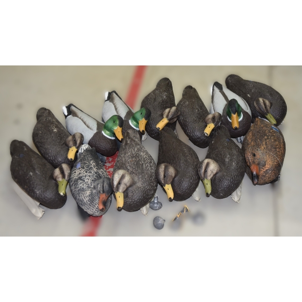 12 Plastic Duck Decoys W/ Weights