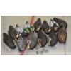 Image 1 : 12 Plastic Duck Decoys W/ Weights
