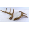 Image 3 : Decorative Faux Deer Antler Shed Display Set