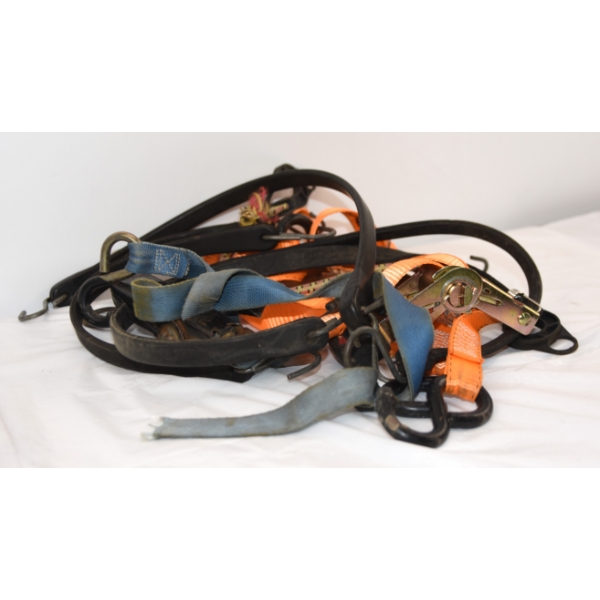 2 Ratchet Tie Down Strap & 6 Bungee Cords Tie Down