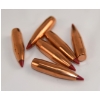 Image 3 : 47 Pieces Assorted Hornady Bullets 