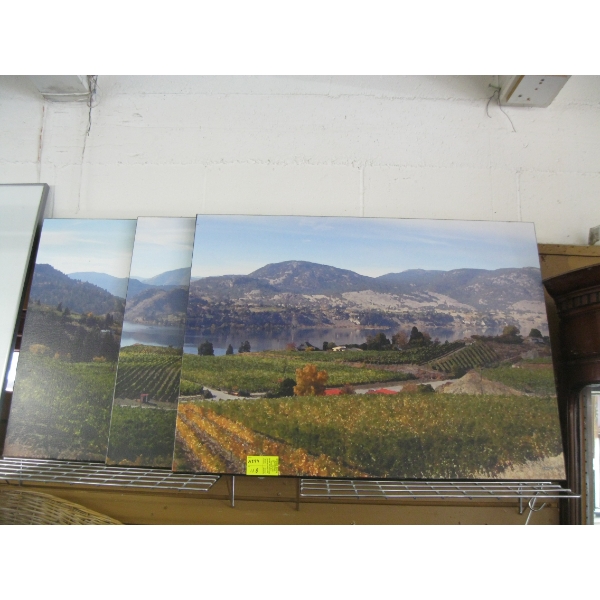 3 HARD BOARDED PICTURES