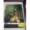 Image 5 : MISC. PICTURES