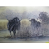Image 2 : FRAMED PRINT OF WATER BUFFALOS BY EVA GREEN