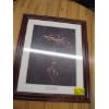 Image 2 : FRAMED PRINT BY ANNE GEDDES