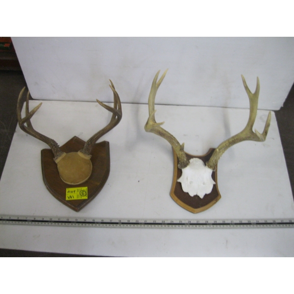 2 SETS OF DEER HORNS ON PLAQUES