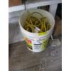 Image 1 : BUCKET W/EXTENSION CORDS