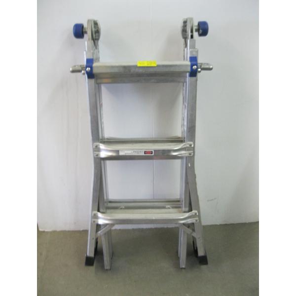 ADJUSTABLE STEP/EXTENSION LADDER