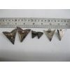 Image 1 : COLLAR STERLING SILVER TIPS