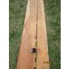 Image 1 : HEAVY DUTY FISHING ROD W/PENN REEL