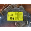 Image 2 : CERAMIC FISH & METAL SIGN