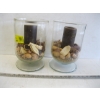 Image 1 : 2 DECORATIVE GLASS CANDLEHOLDERS