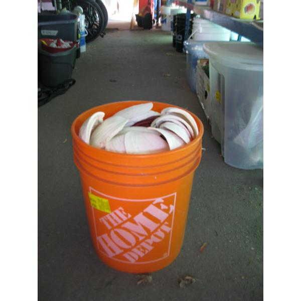 LG. PAIL OF SHELLS