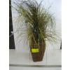 Image 3 : 2 ARTIFICIAL PLANTS