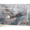 Image 2 : FRAMED NUMBERED PRINT BY PAUL RANKIN "FREEDOM" PICTURE OF EAGLE