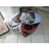 Image 2 : ASST. CLEANING MOPS, BROOMS, EXTENSION HANDLE, ETC.