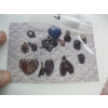 Image 4 : 5 BAGS OF ASST. JEWELLERY