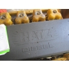 Image 8 : 40 KW LIGHT PLANT IN BOX ON SKIDS RUNNING